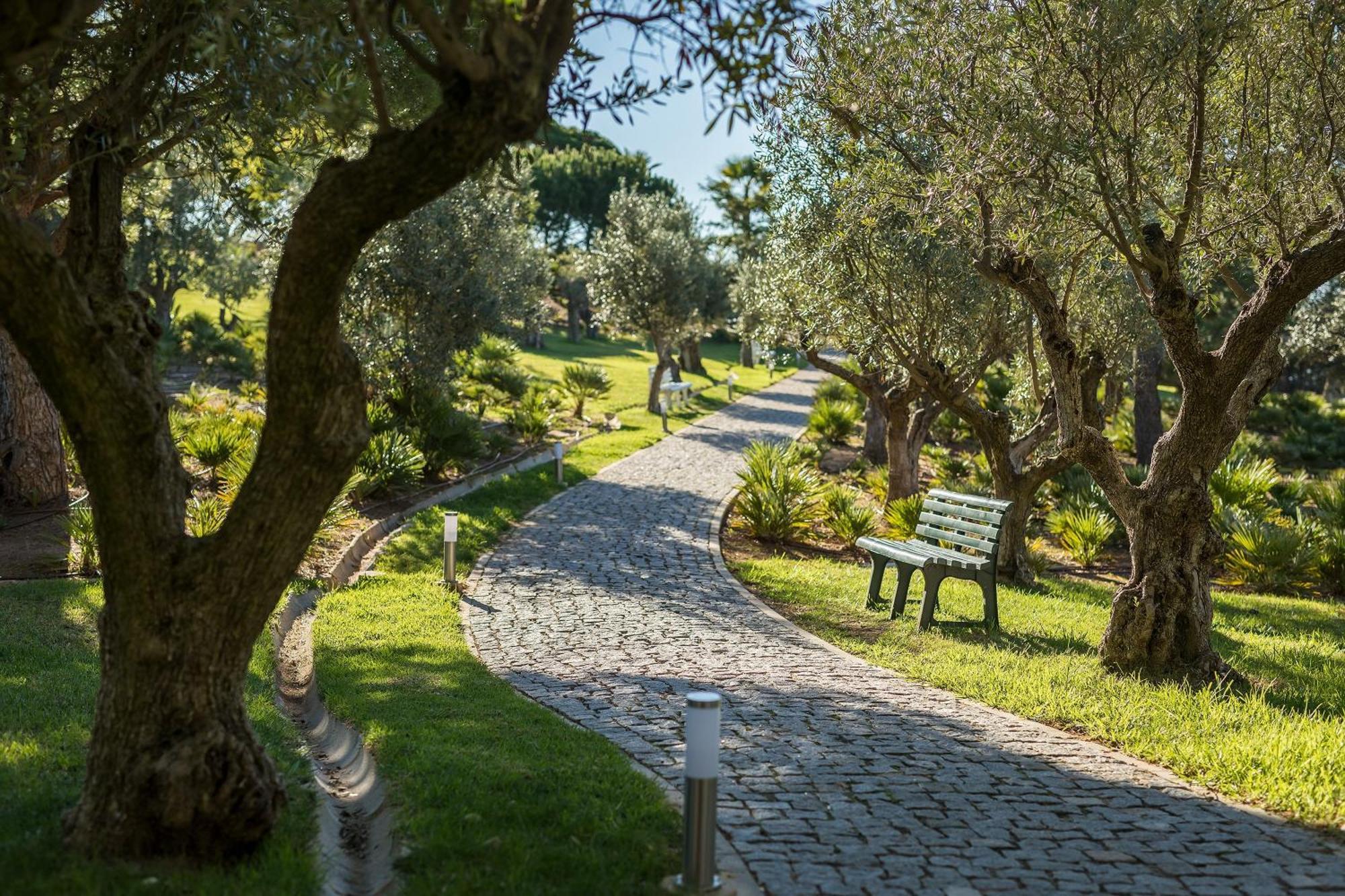 Kimpton Atlantico Algarve By Ihg Ξενοδοχείο Αλμπουφέιρα Εξωτερικό φωτογραφία Olive trees in the park